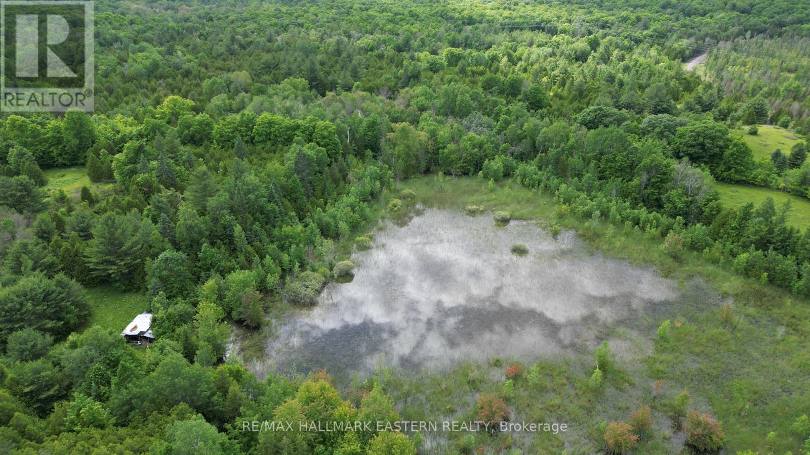 4291 County Road 44, Havelock-Belmont-Methuen (Belmont-Methuen), Ontario  K0L 1Z0 - Photo 8 - X12173097