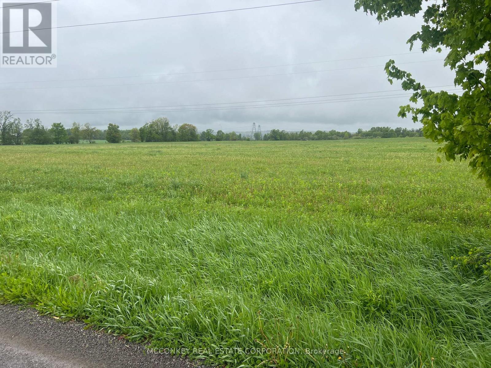 1020 Larmer Line, Cavan Monaghan (Cavan Twp), Ontario  K0L 1V0 - Photo 2 - X12173204