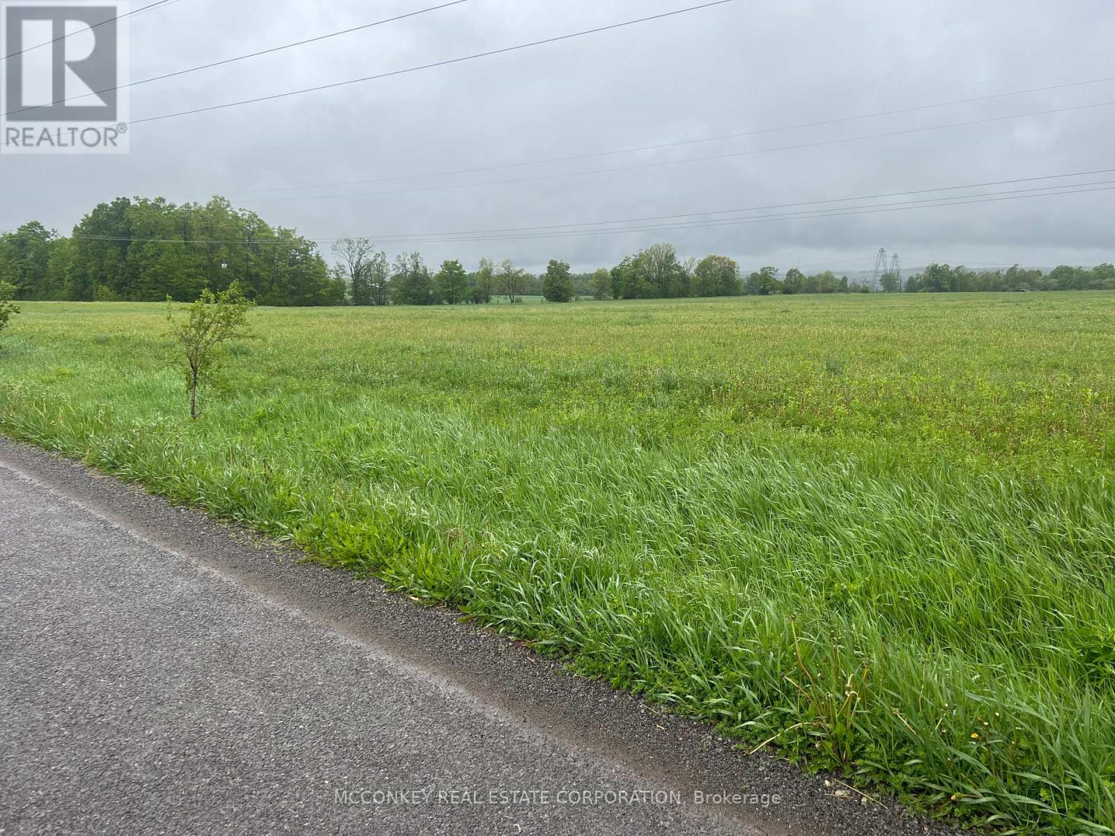 1020 Larmer Line, Cavan Monaghan (Cavan Twp), Ontario  K0L 1V0 - Photo 3 - X12173204