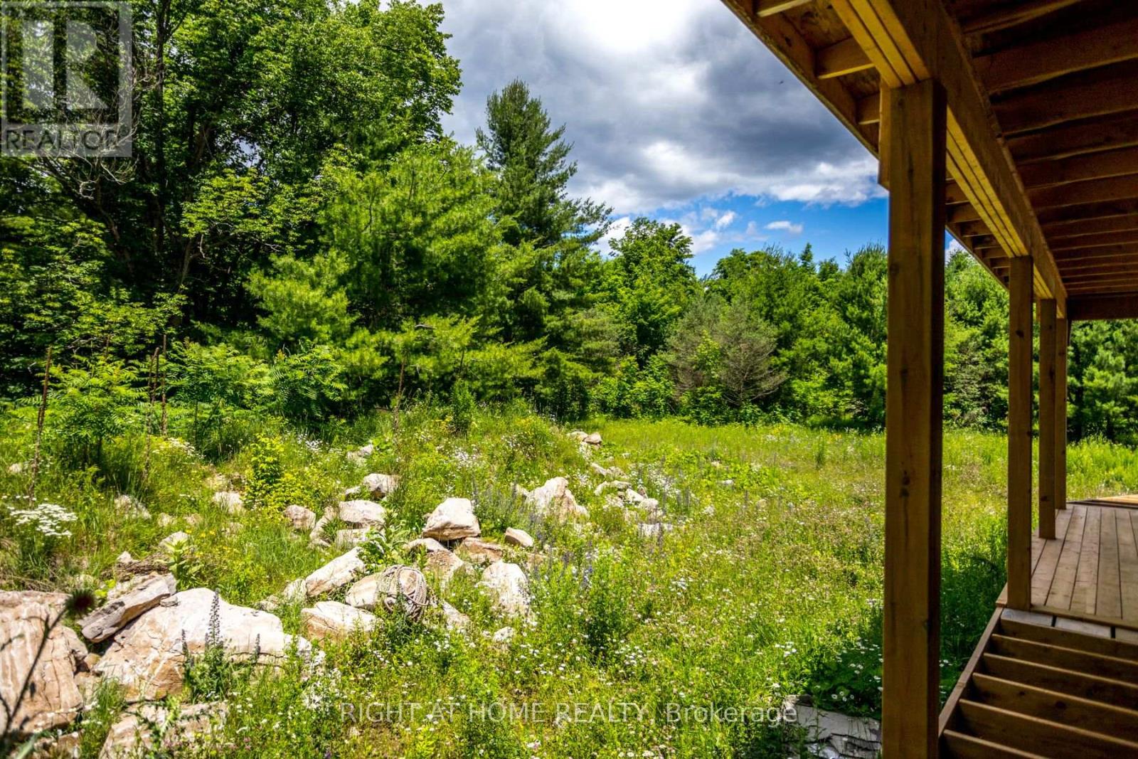 1662 County Road 40 Road, Douro-Dummer, Ontario  K0L 2V0 - Photo 17 - X12173628