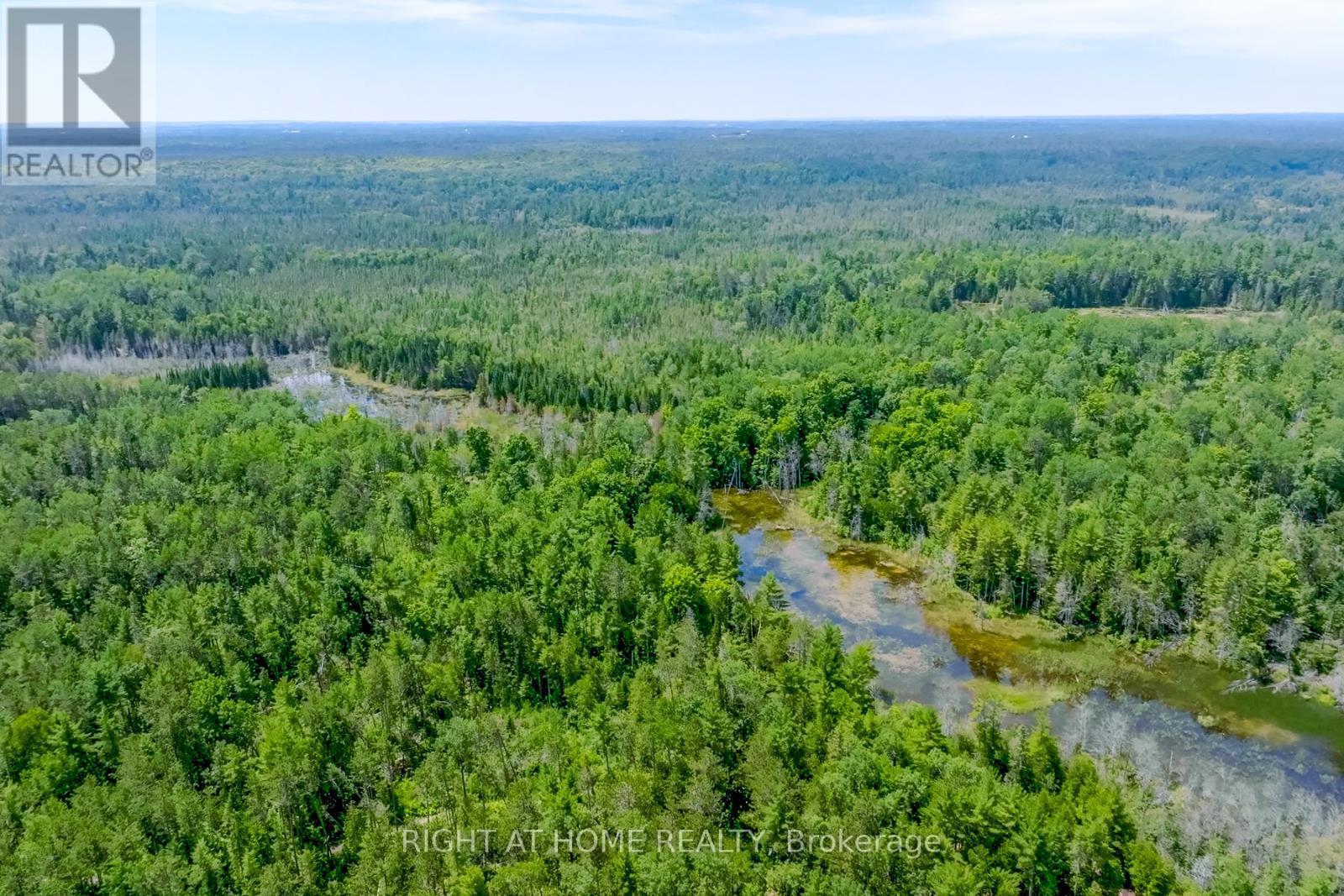 1662 County Road 40 Road, Douro-Dummer, Ontario  K0L 2V0 - Photo 34 - X12173628