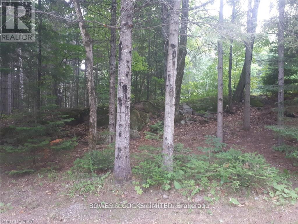 1326 Musclow Greenview, Hastings Highlands (Monteagle Ward), Ontario  K0L 1C0 - Photo 13 - X12173671