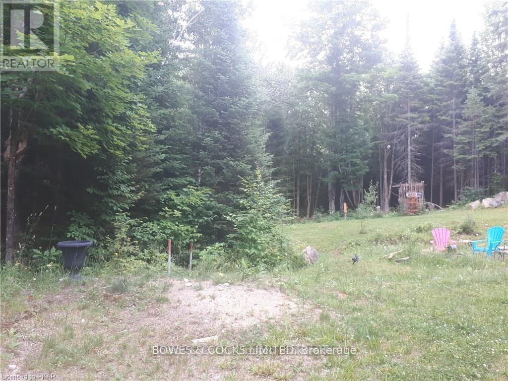 1326 Musclow Greenview, Hastings Highlands (Monteagle Ward), Ontario  K0L 1C0 - Photo 6 - X12173671