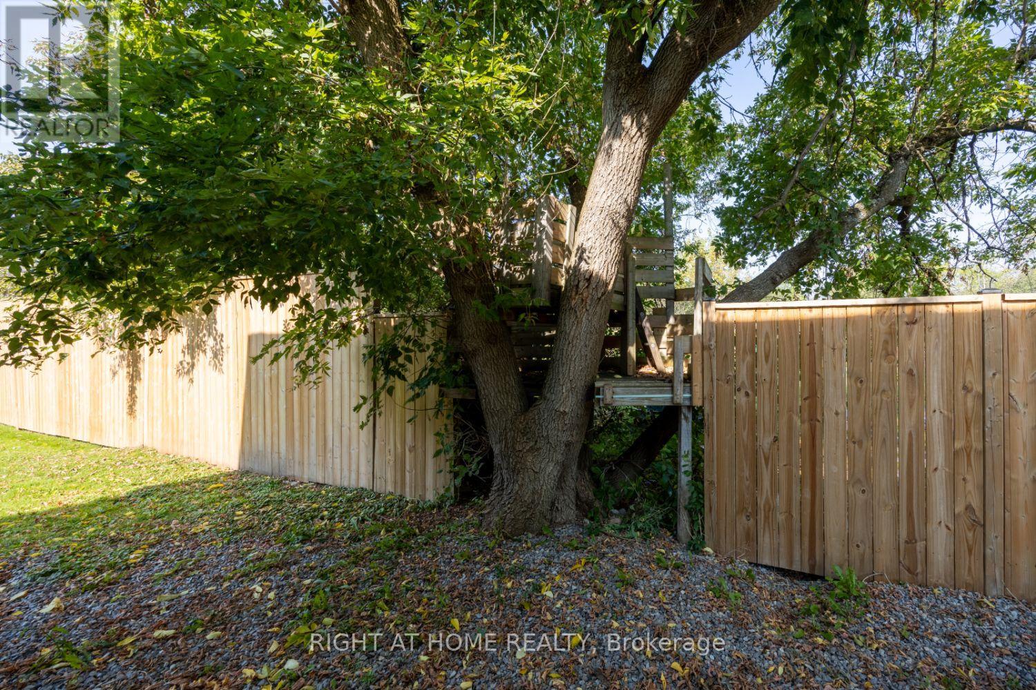 420 Parkhill Road E, Douro-Dummer, Ontario  K9L 1C1 - Photo 6 - X12173749