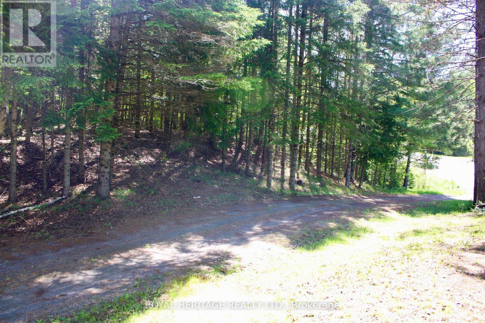 22 Robert Drive, Faraday, Ontario  K0L 1C0 - Photo 45 - X12175004