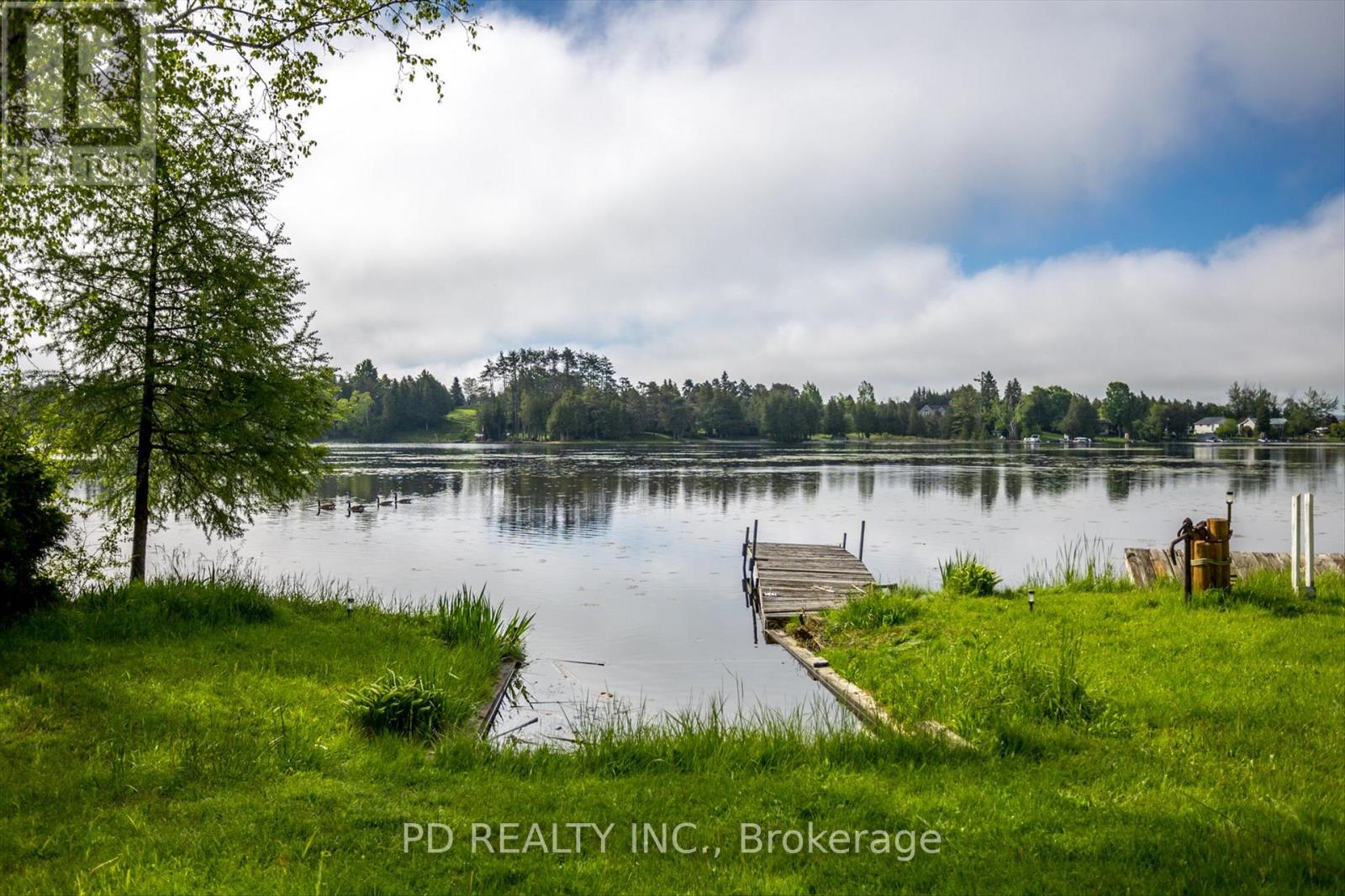 22 Evergreen Street, Kawartha Lakes (Emily), Ontario  K0L 2W0 - Photo 27 - X12175508