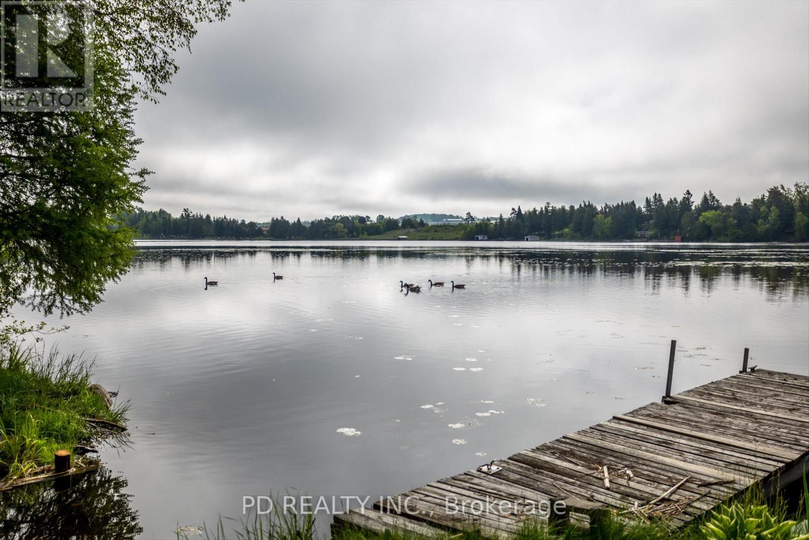 22 Evergreen Street, Kawartha Lakes (Emily), Ontario  K0L 2W0 - Photo 28 - X12175508