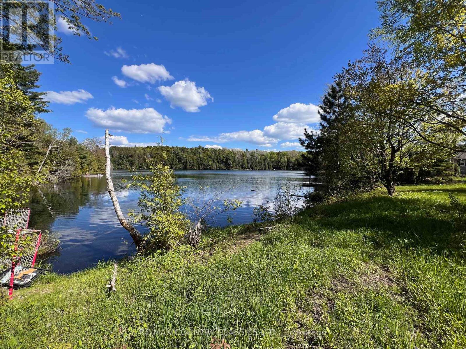164 Trout Lake Road, Faraday, Ontario  K0L 1C0 - Photo 45 - X12176120