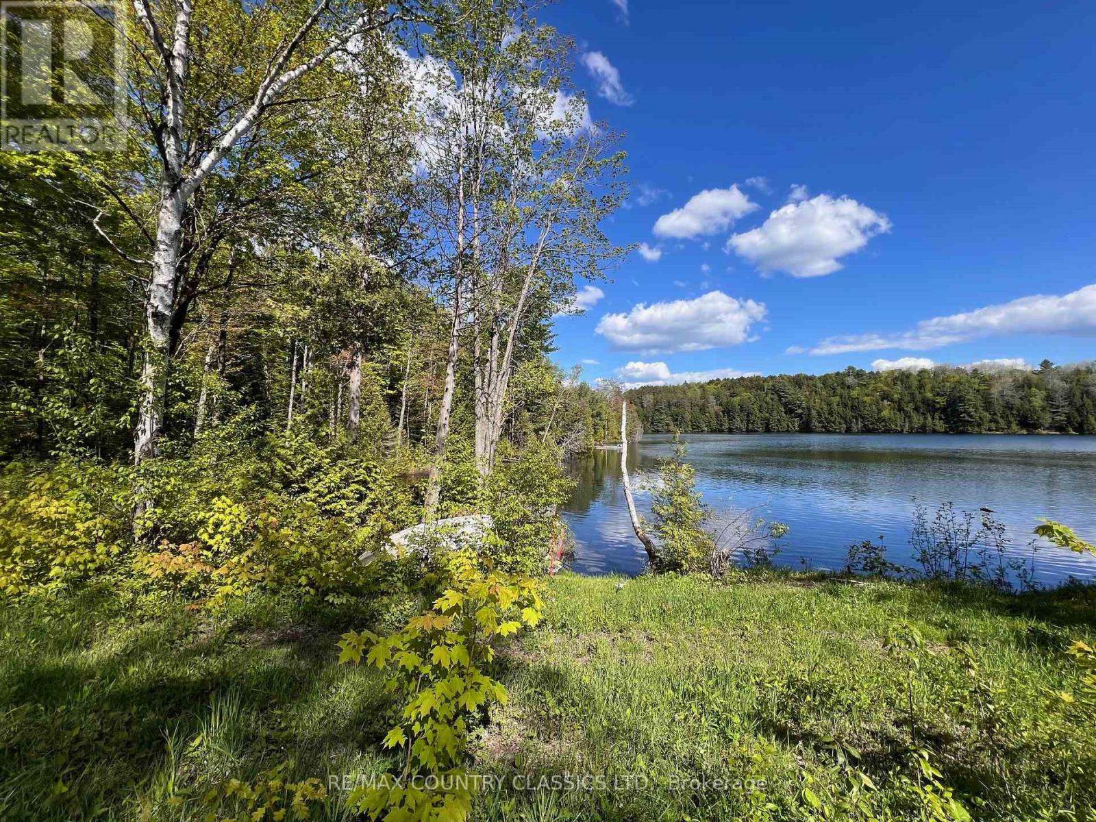 164 Trout Lake Road, Faraday, Ontario  K0L 1C0 - Photo 46 - X12176120
