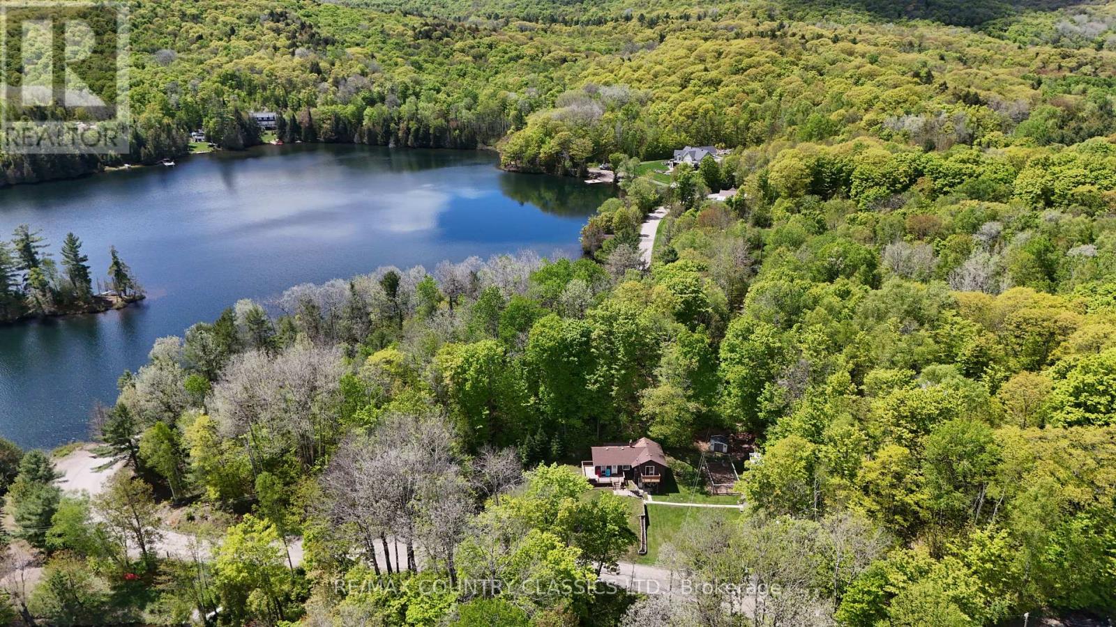 164 Trout Lake Road, Faraday, Ontario  K0L 1C0 - Photo 5 - X12176120