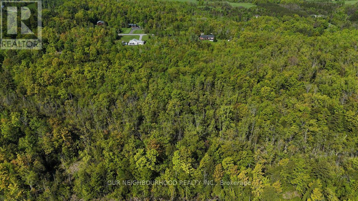 Lot 4 Tapley Quarter Line, Cavan Monaghan (Cavan Twp), Ontario  K0L 1V0 - Photo 2 - X12176509