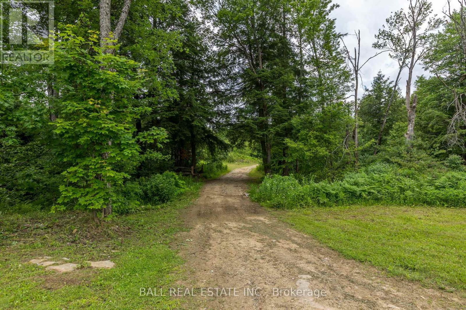 59 Trotters Road, North Kawartha, Ontario  K0L 1A0 - Photo 47 - X12181049