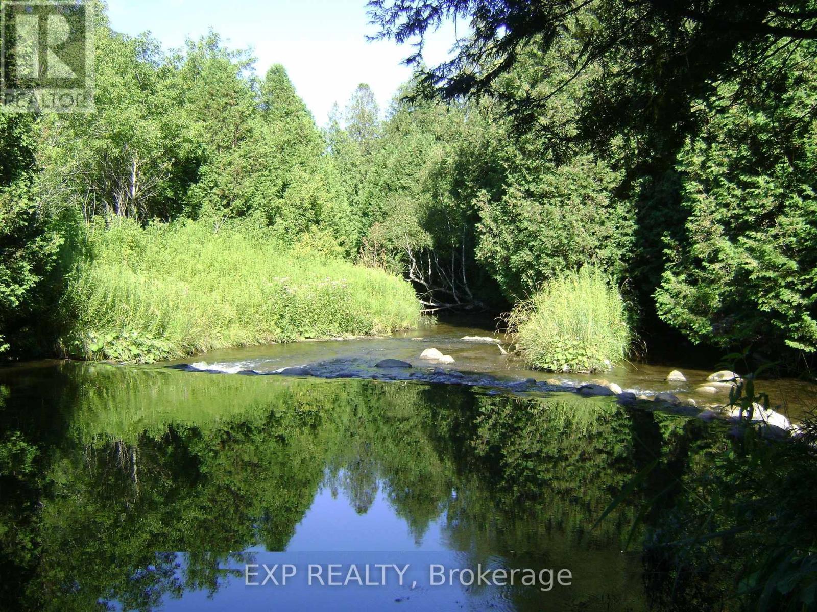 5693 East Townline Road, Port Hope, Ontario  L0A 1J0 - Photo 13 - X12181307