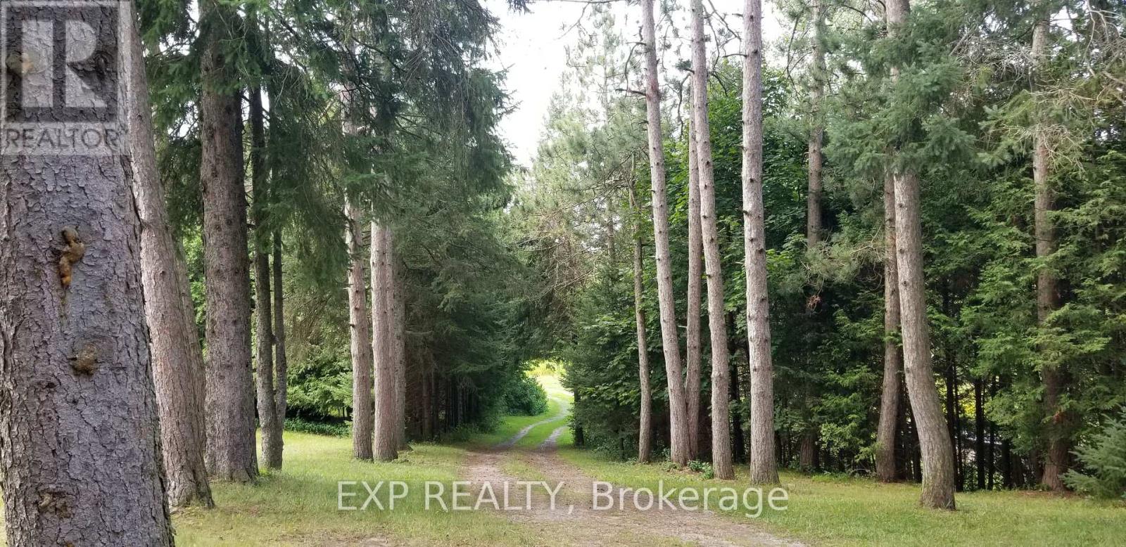 5693 East Townline Road, Port Hope, Ontario  L0A 1J0 - Photo 30 - X12181307