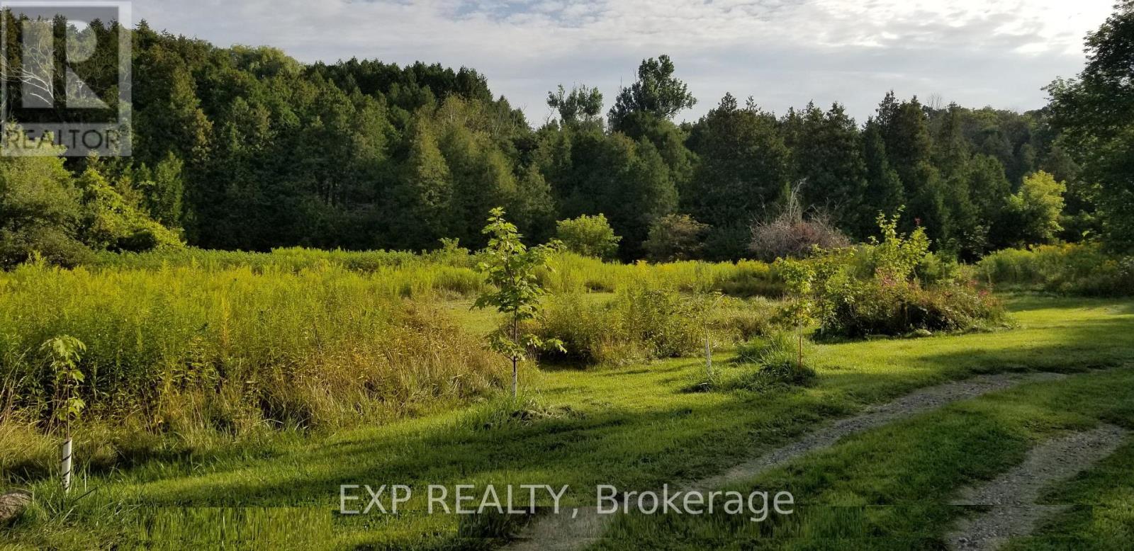 5693 East Townline Road, Port Hope, Ontario  L0A 1J0 - Photo 32 - X12181307