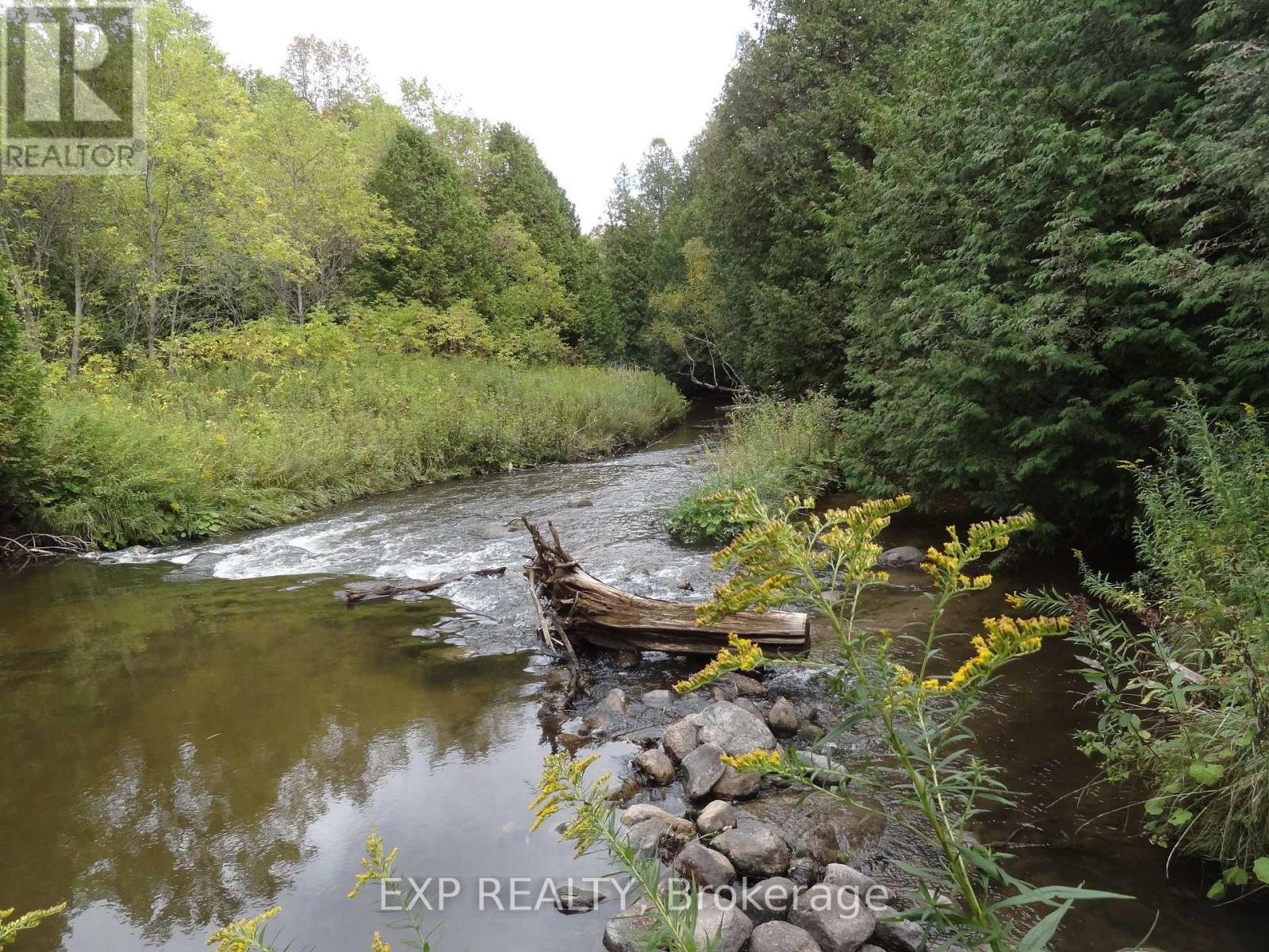 5693 East Townline Road, Port Hope, Ontario  L0A 1J0 - Photo 38 - X12181307