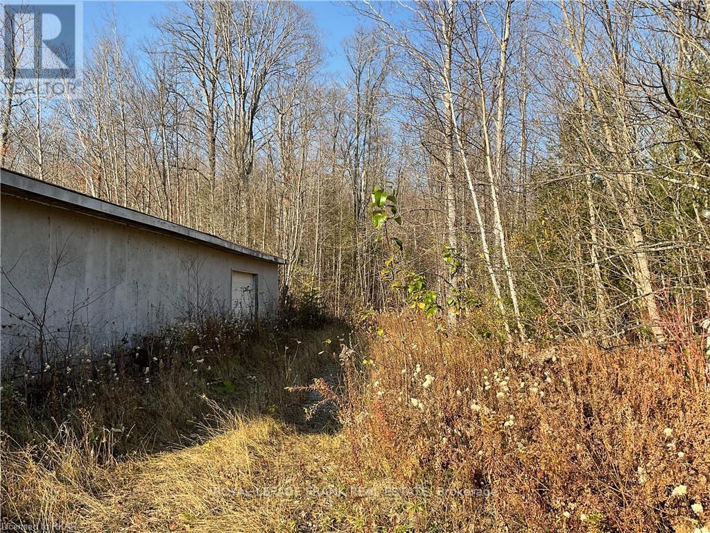 3467 County Rd 36, Trent Lakes, Ontario  K0L 1J0 - Photo 18 - X12182631