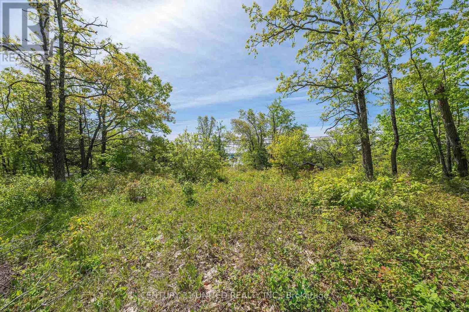 0 Northeys Bay Road, North Kawartha, Ontario  K0L 2H0 - Photo 2 - X12182983
