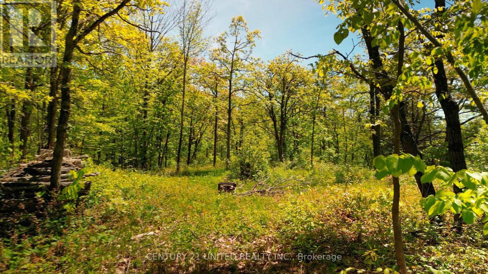 0 Northeys Bay Road, North Kawartha, Ontario  K0L 2H0 - Photo 4 - X12182983