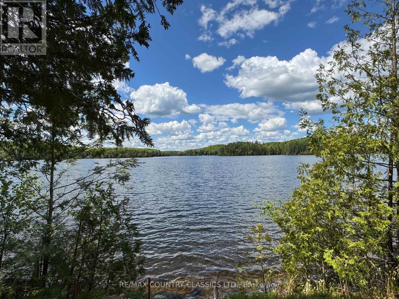 27241 Highway 28 S, Highlands East (Cardiff Ward), Ontario  K0L 1M0 - Photo 5 - X12183996