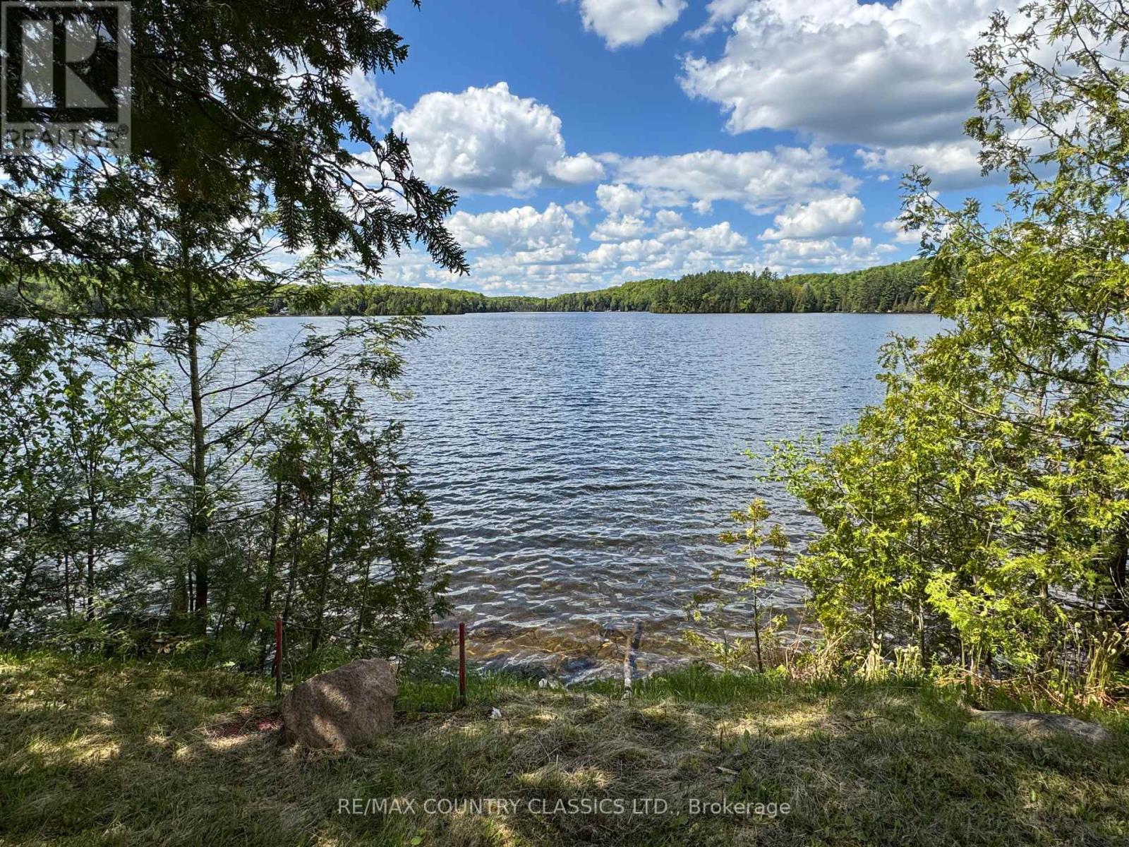 27241 Highway 28 S, Highlands East (Cardiff Ward), Ontario  K0L 1M0 - Photo 6 - X12183996