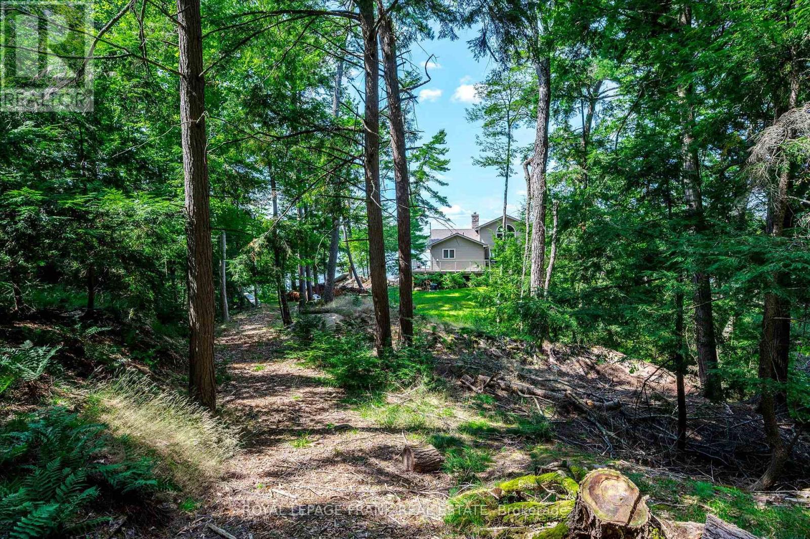 484 Juniper Island, Douro-Dummer, Ontario  K0L 2C0 - Photo 38 - X12184091