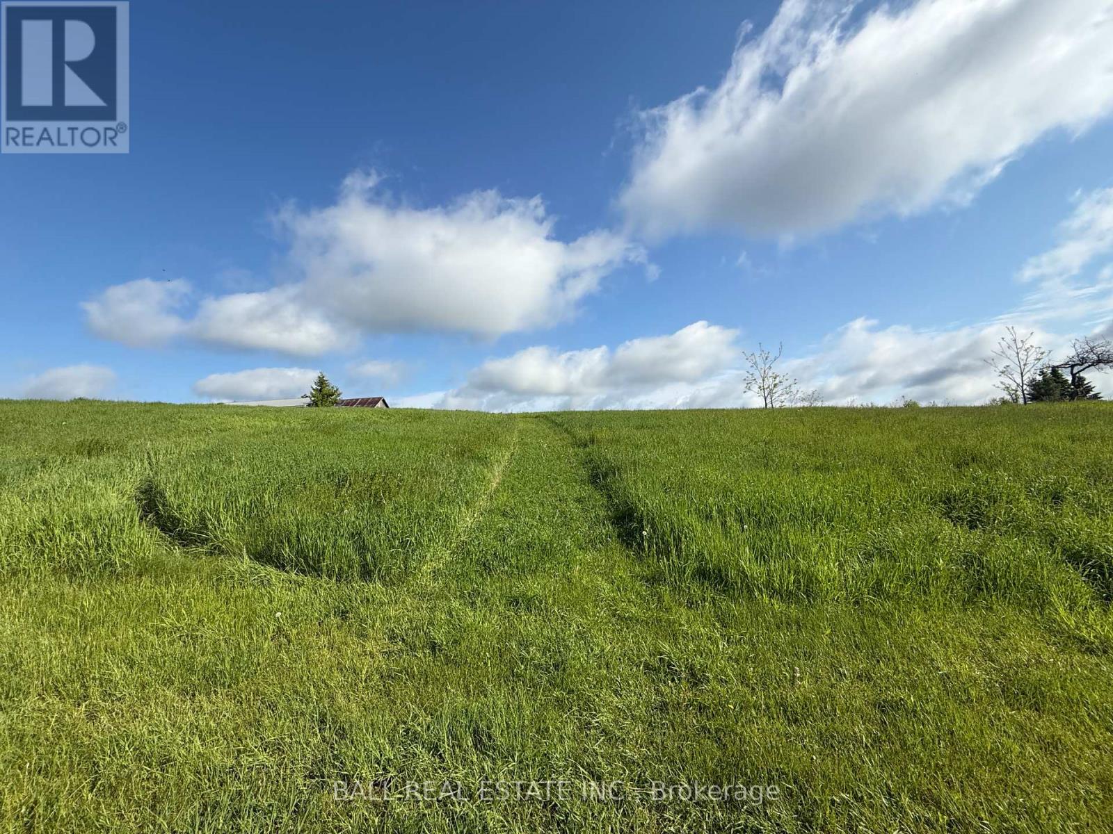 94 West Street, Douro-Dummer, Ontario  K0L 3A0 - Photo 46 - X12184599