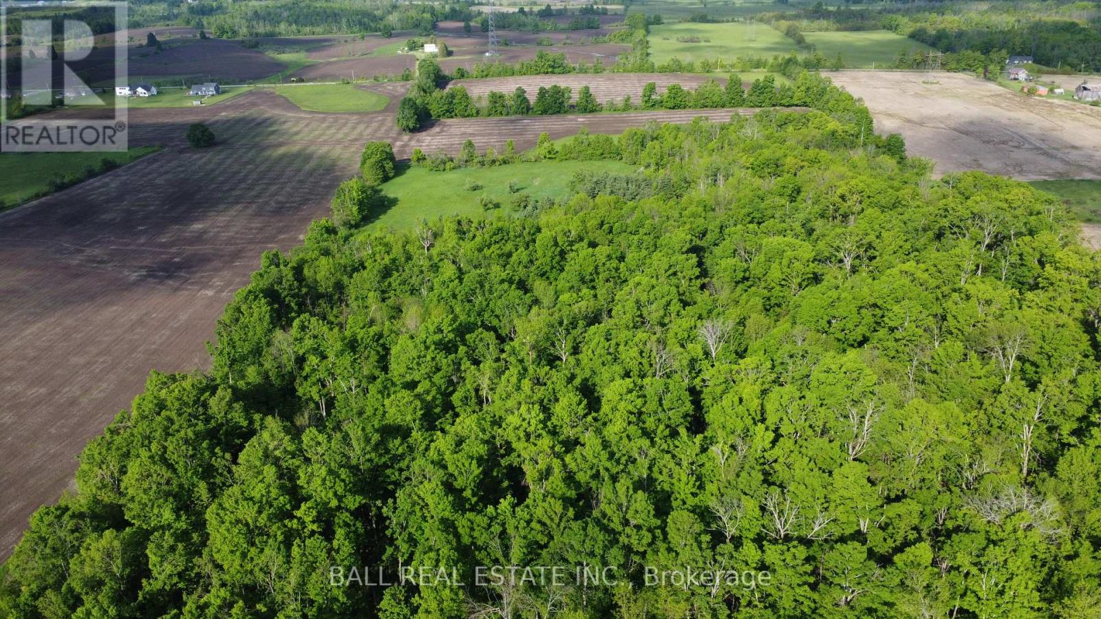 94 West Street, Douro-Dummer, Ontario  K0L 3A0 - Photo 48 - X12184599