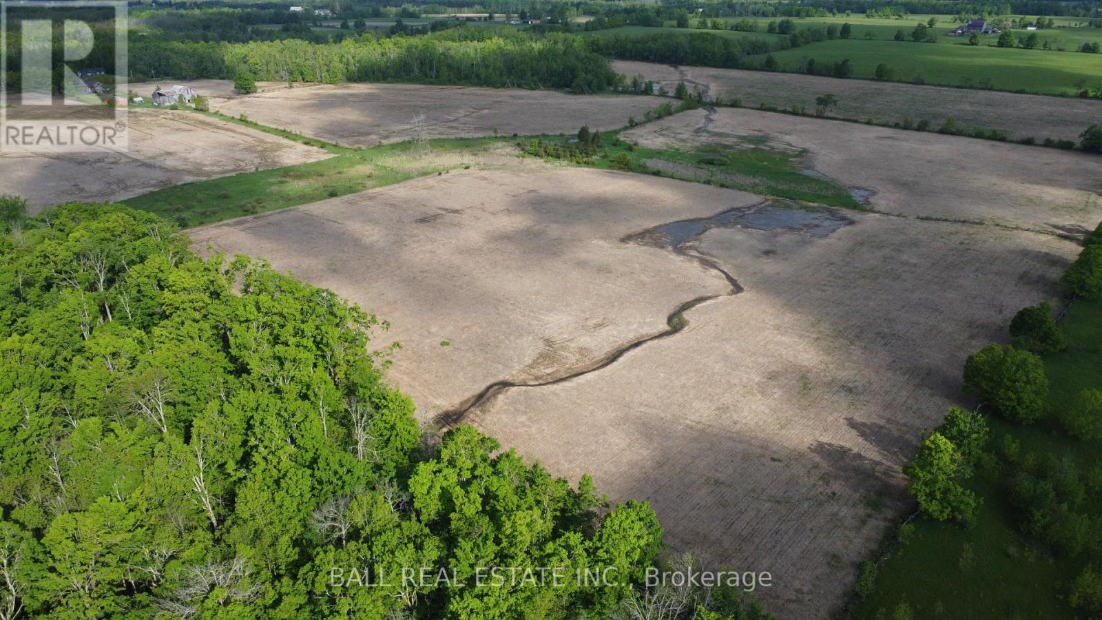 94 West Street, Douro-Dummer, Ontario  K0L 3A0 - Photo 49 - X12184599