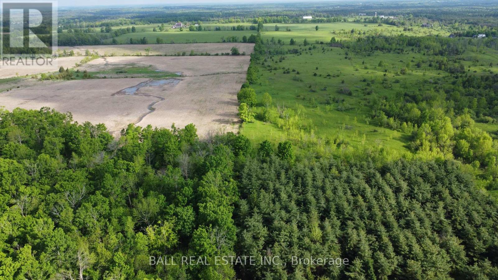 94 West Street, Douro-Dummer, Ontario  K0L 3A0 - Photo 9 - X12184599