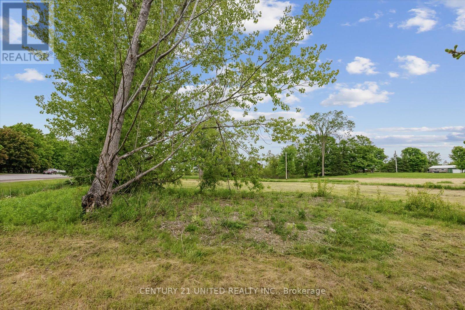 0 Savigny Road, Otonabee-South Monaghan, Ontario  K9J 6Y3 - Photo 9 - X12184592