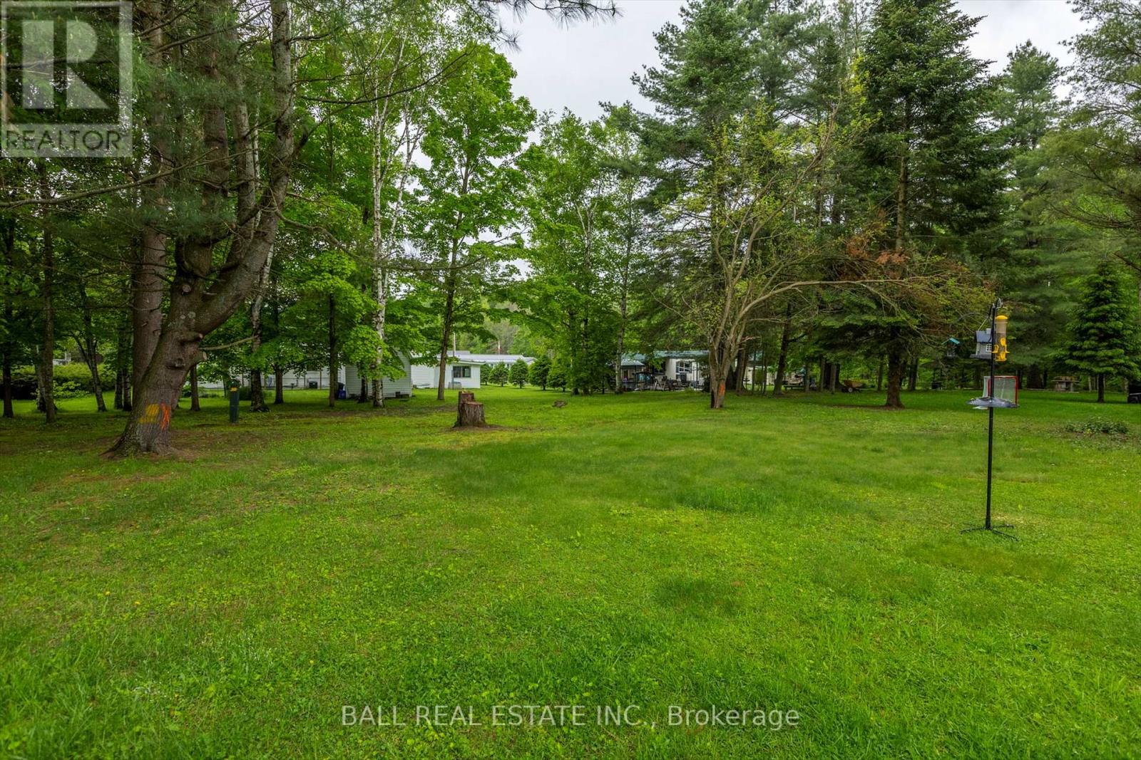 62 Methuen Street, Havelock-Belmont-Methuen (Belmont-Methuen), Ontario  K0L 1Z0 - Photo 6 - X12184881