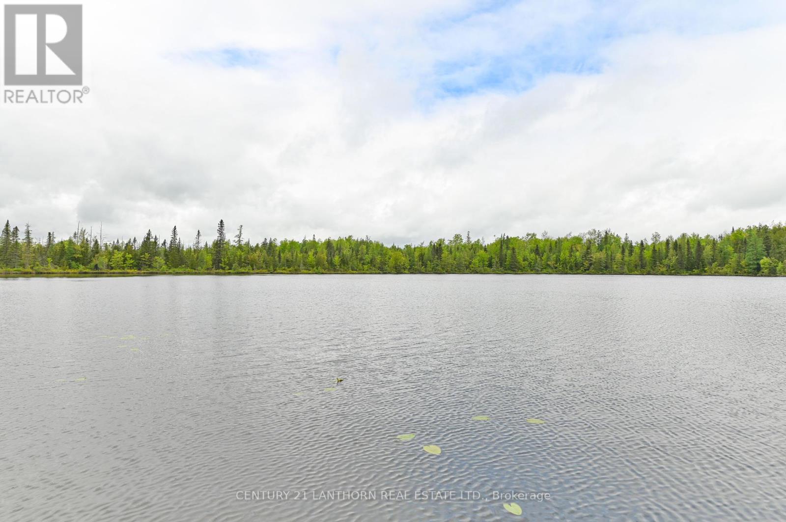 475 South Pine View Ridge Lane, Tudor & Cashel, Ontario  K0L 1W0 - Photo 30 - X12185140