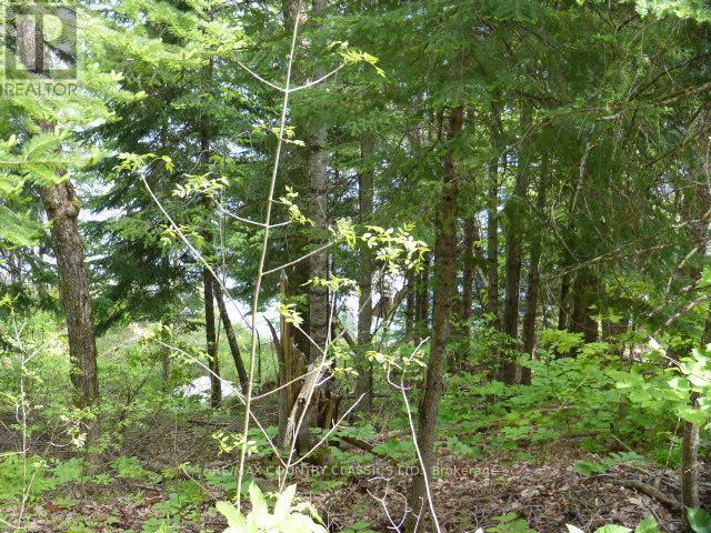 0 Sandy's Lane, Highlands East (Cardiff Ward), Ontario  K0L 1C0 - Photo 11 - X12185346