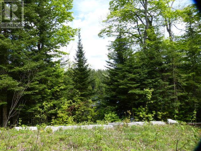 0 Sandy's Lane, Highlands East (Cardiff Ward), Ontario  K0L 1C0 - Photo 12 - X12185346