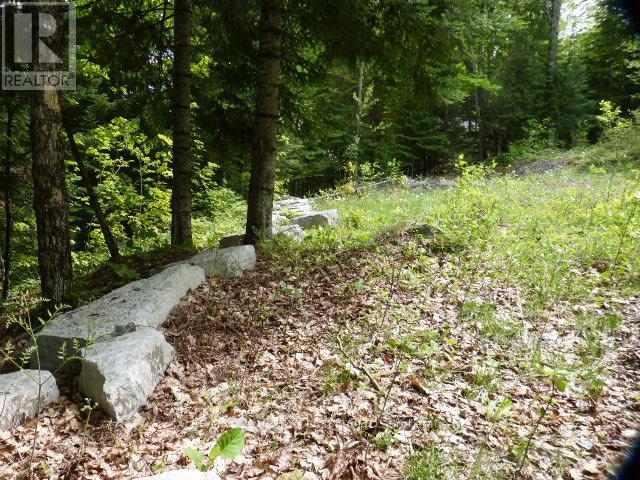 0 Sandy's Lane, Highlands East (Cardiff Ward), Ontario  K0L 1C0 - Photo 13 - X12185346