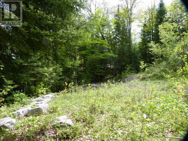 0 Sandy's Lane, Highlands East (Cardiff Ward), Ontario  K0L 1C0 - Photo 14 - X12185346