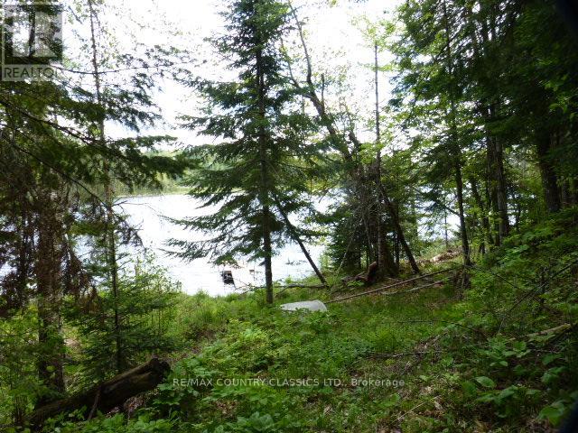 0 Sandy's Lane, Highlands East (Cardiff Ward), Ontario  K0L 1C0 - Photo 15 - X12185346