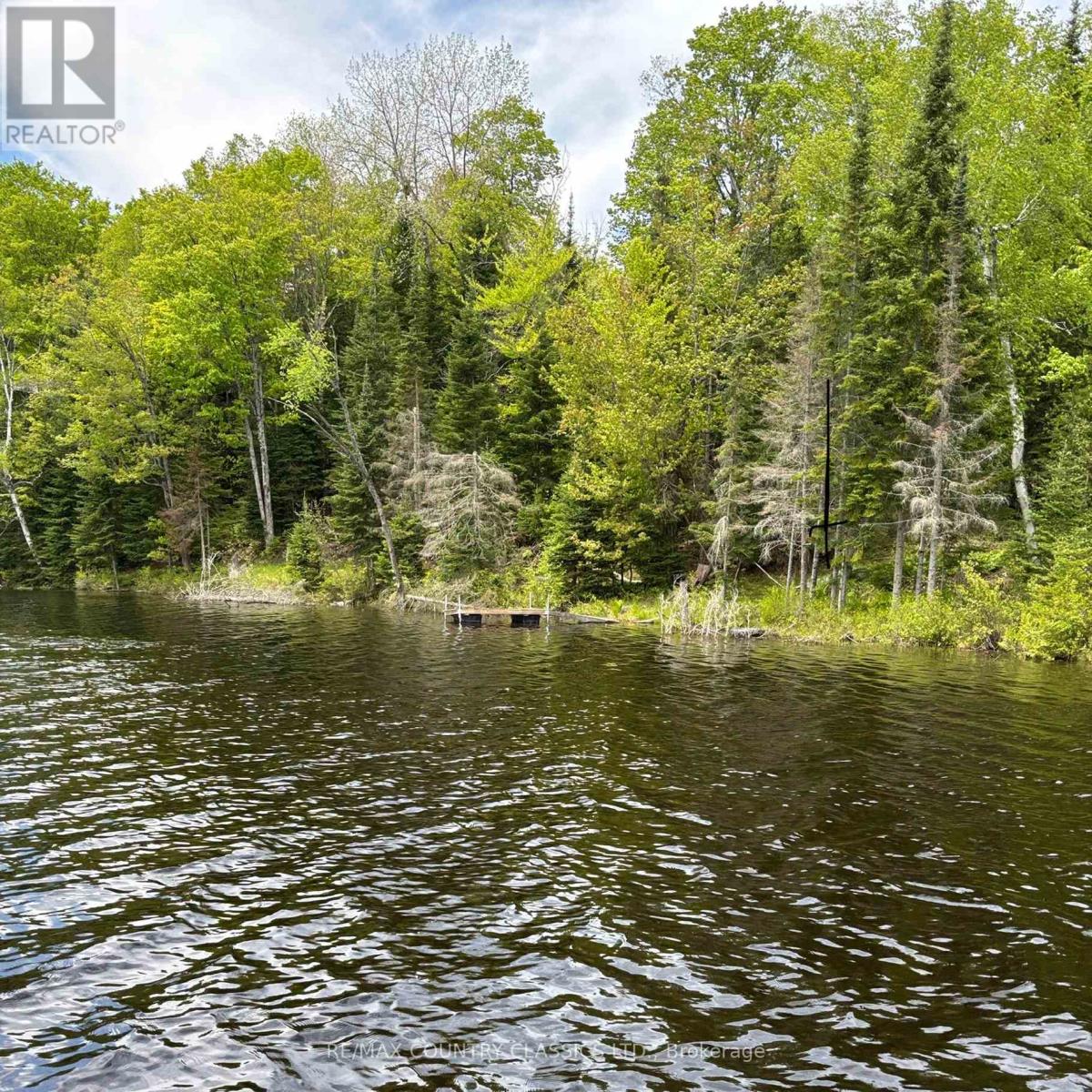 0 Sandy's Lane, Highlands East (Cardiff Ward), Ontario  K0L 1C0 - Photo 2 - X12185346