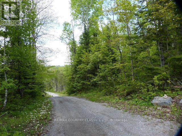 0 Sandy's Lane, Highlands East (Cardiff Ward), Ontario  K0L 1C0 - Photo 4 - X12185346