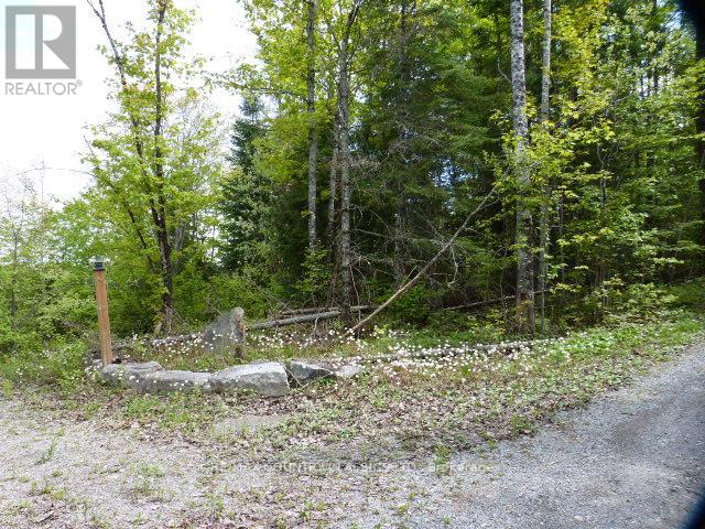 0 Sandy's Lane, Highlands East (Cardiff Ward), Ontario  K0L 1C0 - Photo 5 - X12185346