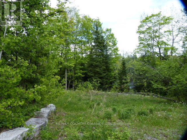 0 Sandy's Lane, Highlands East (Cardiff Ward), Ontario  K0L 1C0 - Photo 6 - X12185346