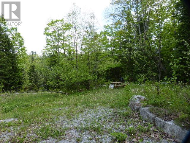 0 Sandy's Lane, Highlands East (Cardiff Ward), Ontario  K0L 1C0 - Photo 7 - X12185346