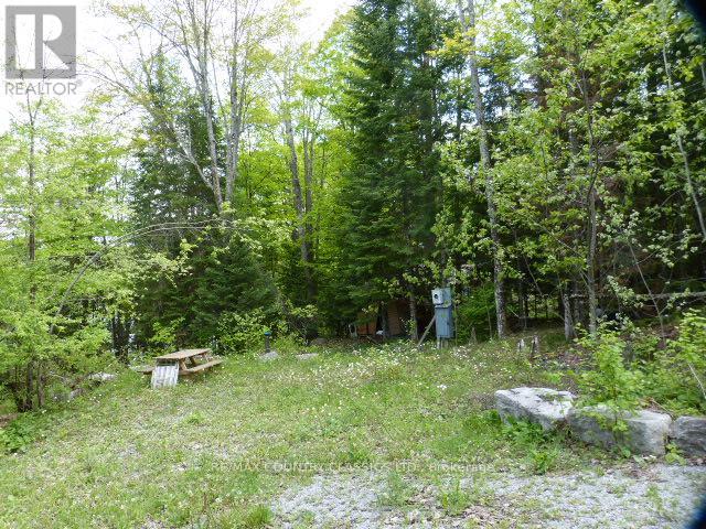0 Sandy's Lane, Highlands East (Cardiff Ward), Ontario  K0L 1C0 - Photo 8 - X12185346
