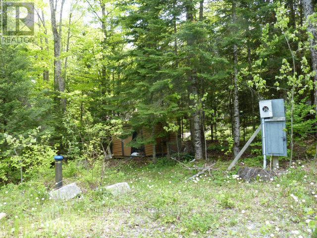 0 Sandy's Lane, Highlands East (Cardiff Ward), Ontario  K0L 1C0 - Photo 9 - X12185346