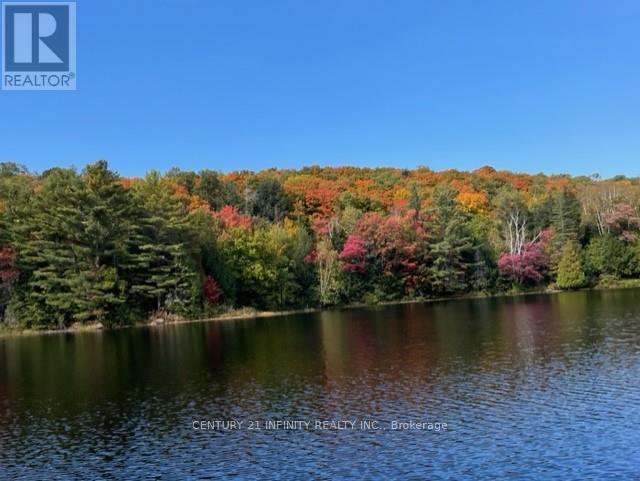 1124 Dam Road, Hastings Highlands (Mcclure Ward), Ontario  K0L 2K0 - Photo 41 - X12185348