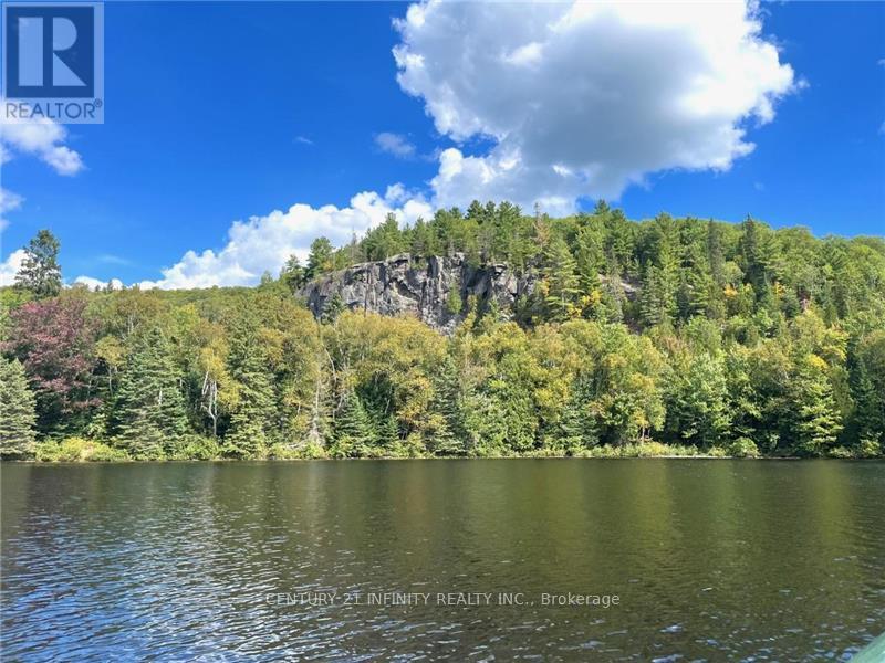 1124 Dam Road, Hastings Highlands (Mcclure Ward), Ontario  K0L 2K0 - Photo 42 - X12185348