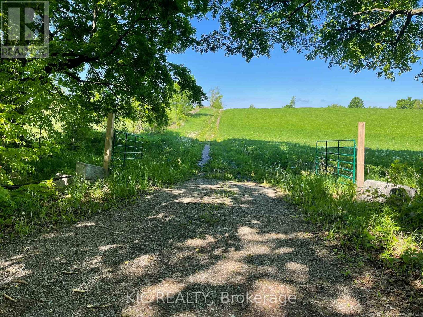 556 Fifth Line Rd Dum Road, Douro-Dummer, Ontario  K0L 3A0 - Photo 33 - X12185777