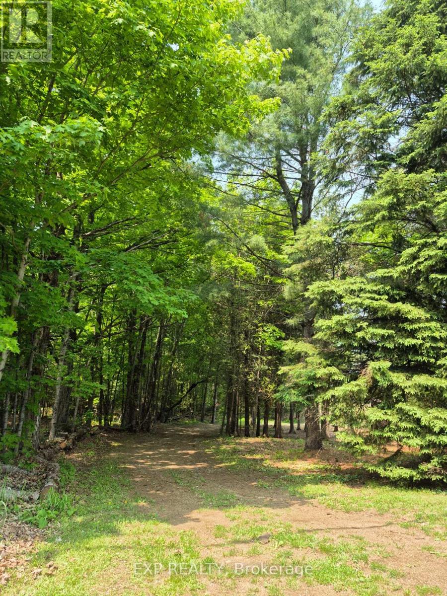 1719 Weslemkoon Lake Road, Limerick, Ontario  K0L 1C0 - Photo 37 - X12185846
