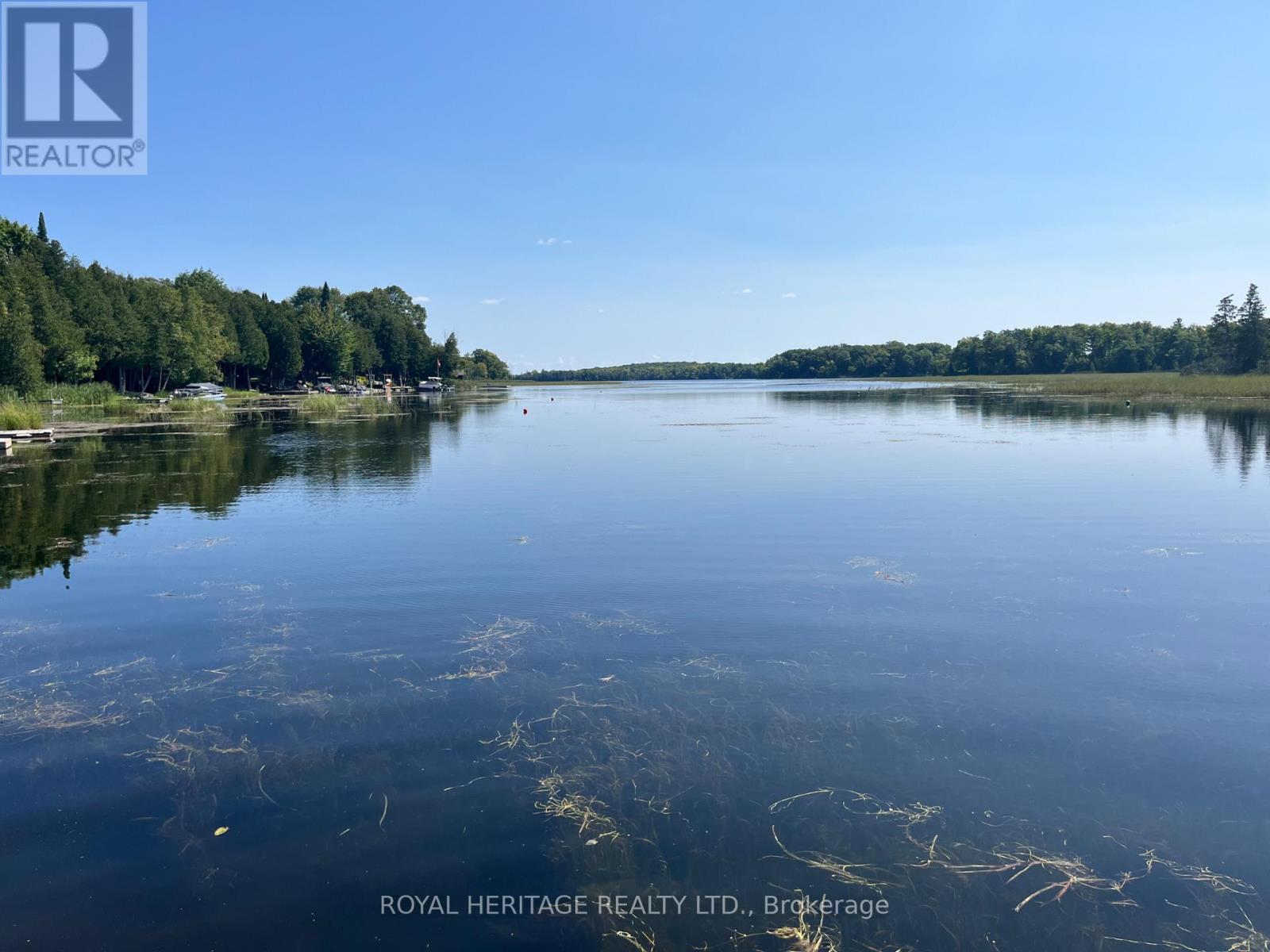 0 Sumcot Drive, Trent Lakes, Ontario  K9J 6X2 - Photo 10 - X12186979